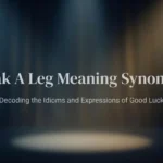 Break A Leg Meaning Synonyms