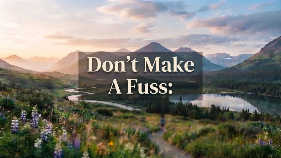 Don't Make A Fuss